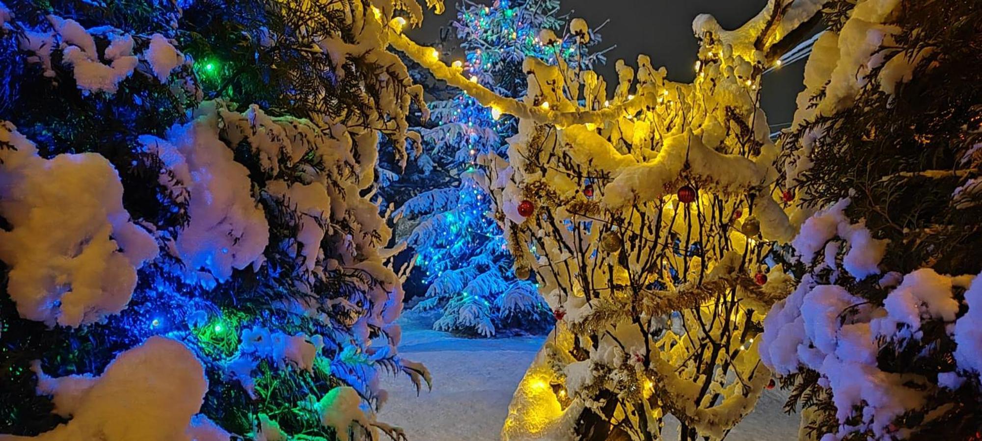 Eden Garden Sovata Villa Eksteriør billede
