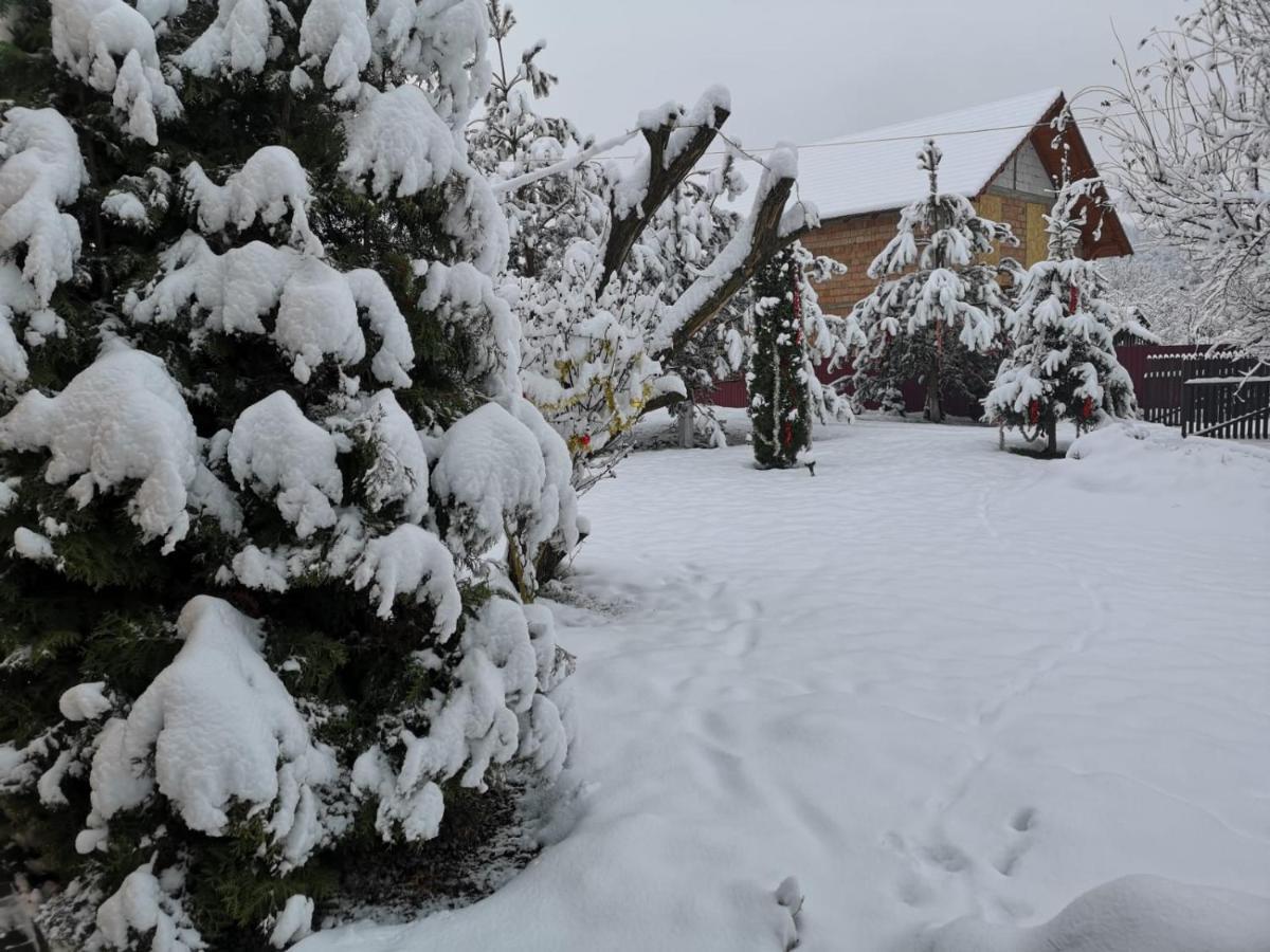 Eden Garden Sovata Villa Eksteriør billede
