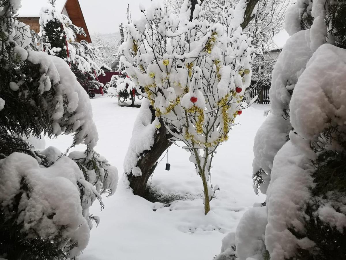Eden Garden Sovata Villa Eksteriør billede