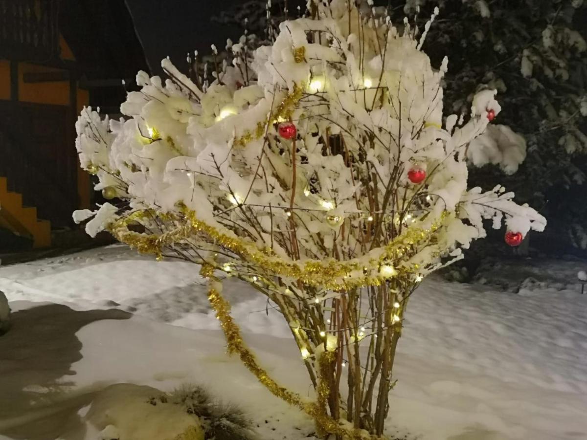 Eden Garden Sovata Villa Eksteriør billede